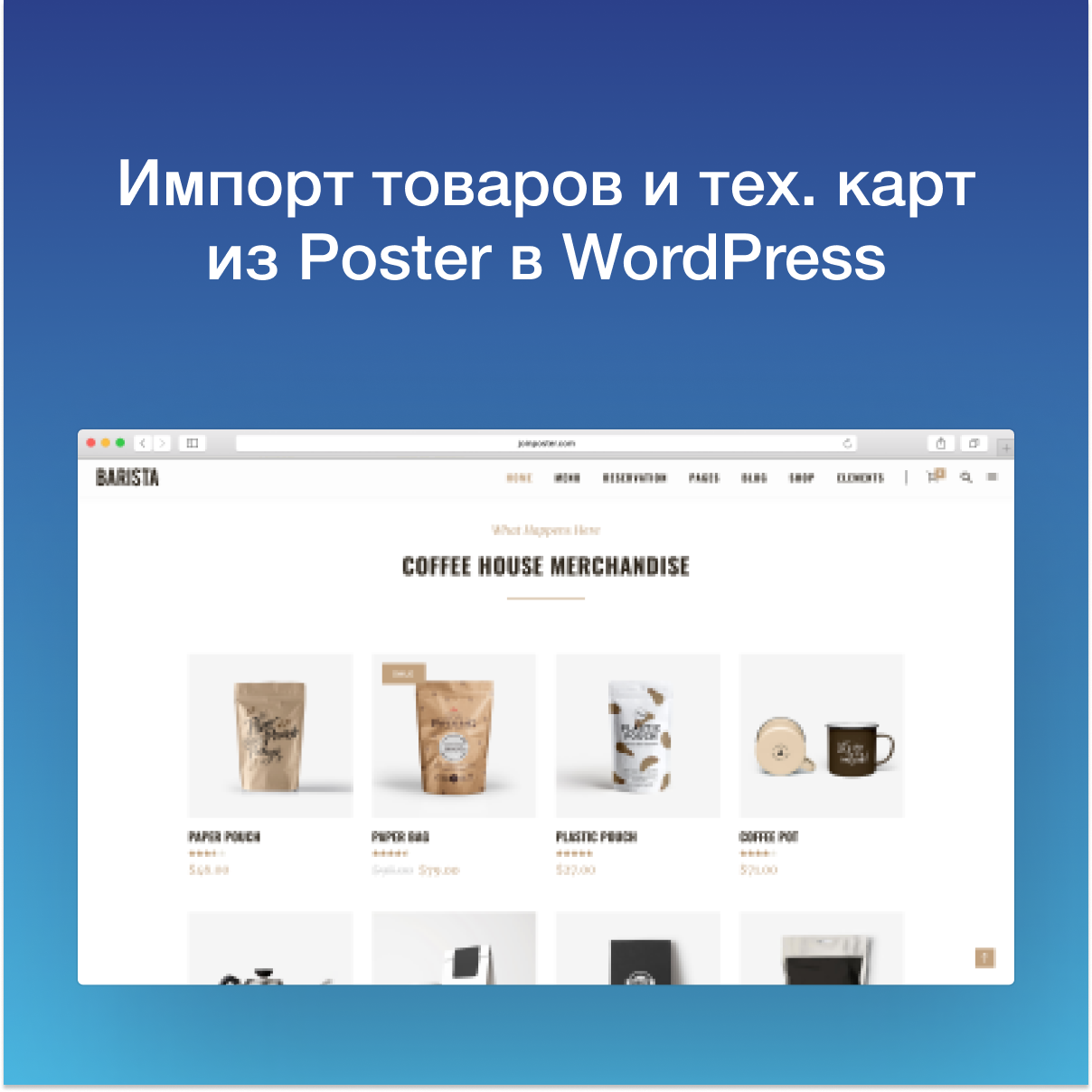 Integration with an online store on WordPress